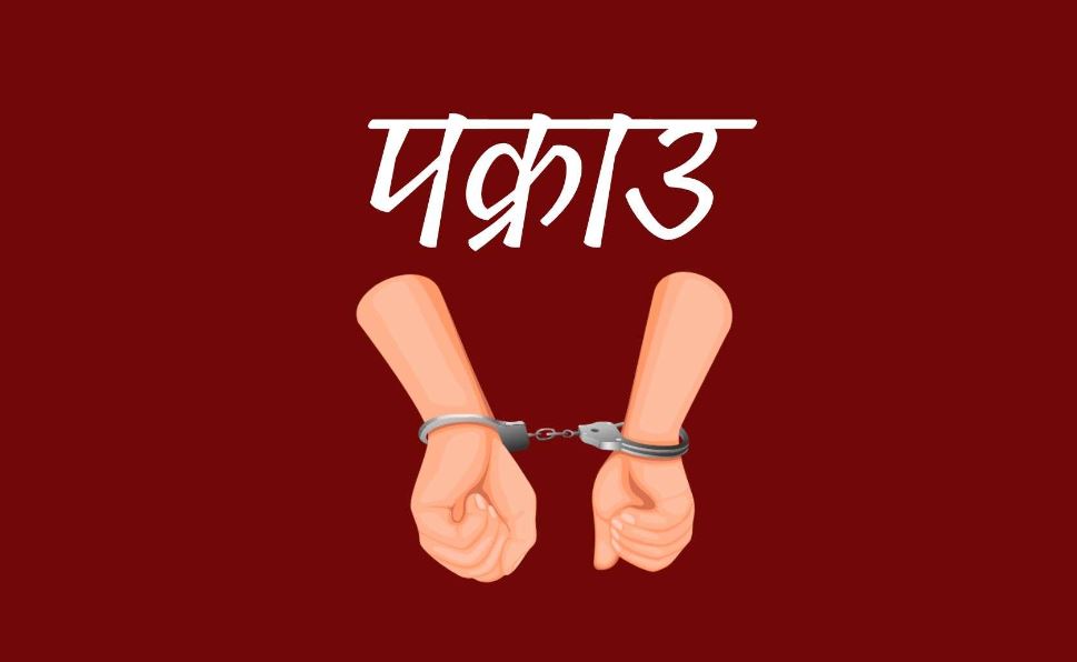 सडकमा रोपिएको बिरुवा उखाल्ने महिला पक्राउ 