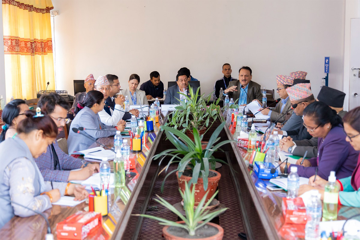 ब्रोकर लाइसेन्स प्रक्रिया अघि बढाउन संसदीय समितिको निर्देशन