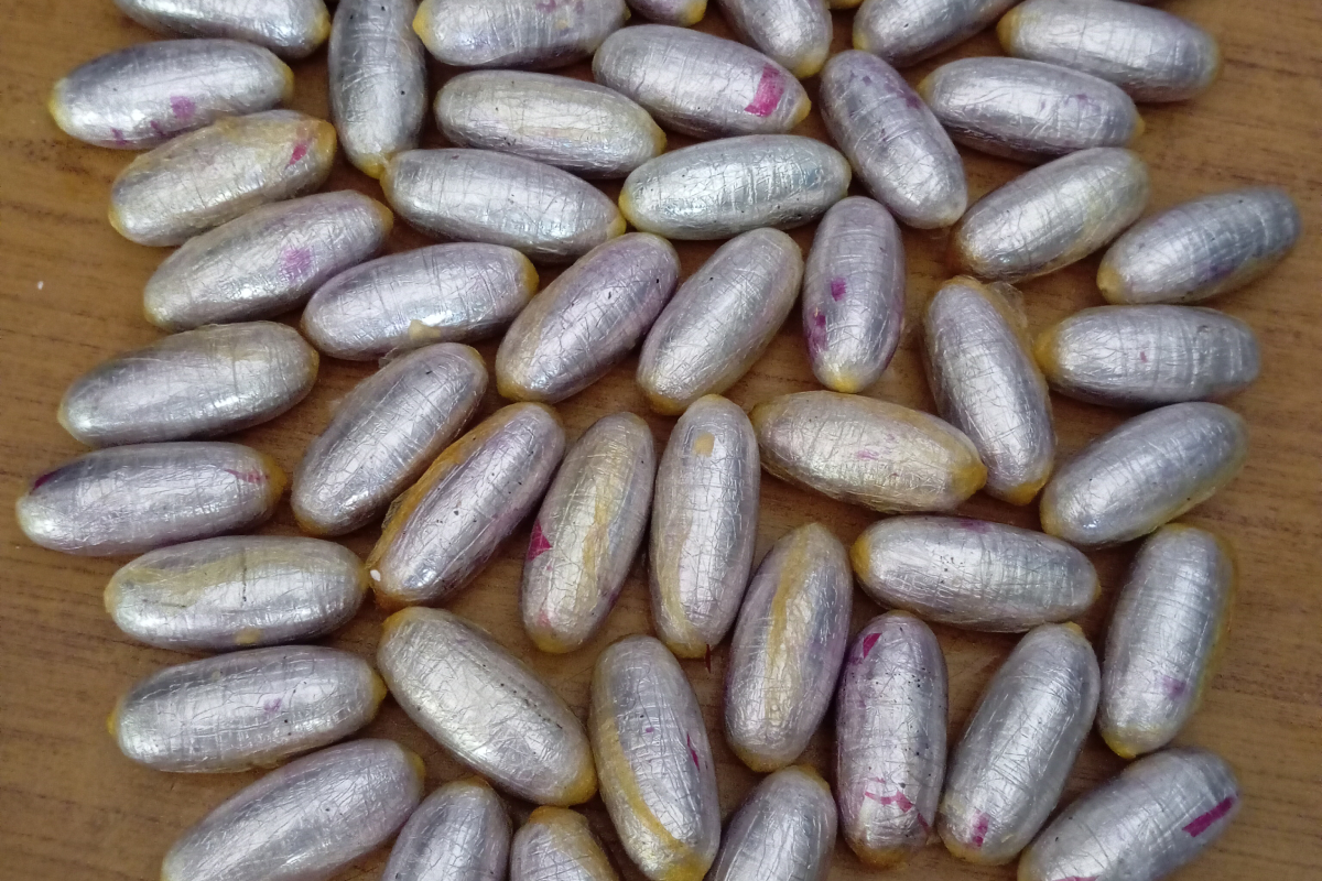 एक किलो कोकिनसहित २ विदेशी पक्राउ