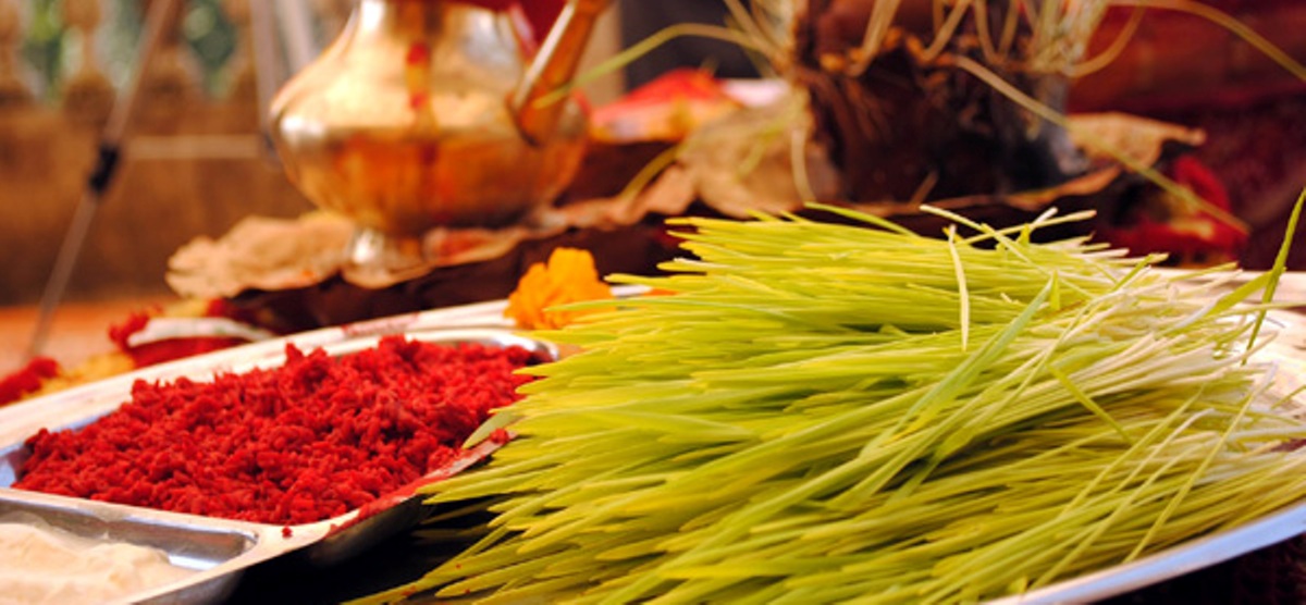 नवदुर्गाको प्रसादस्वरूप टीका र जमरा लगाइँदै, उत्तम साइत ११:०२ बजे
