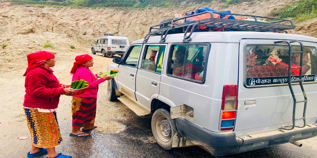 वनमा यसै खेर जाने ऐँसेलु बेचेर घरखर्च जुटाउँदै कास्कीका महिला