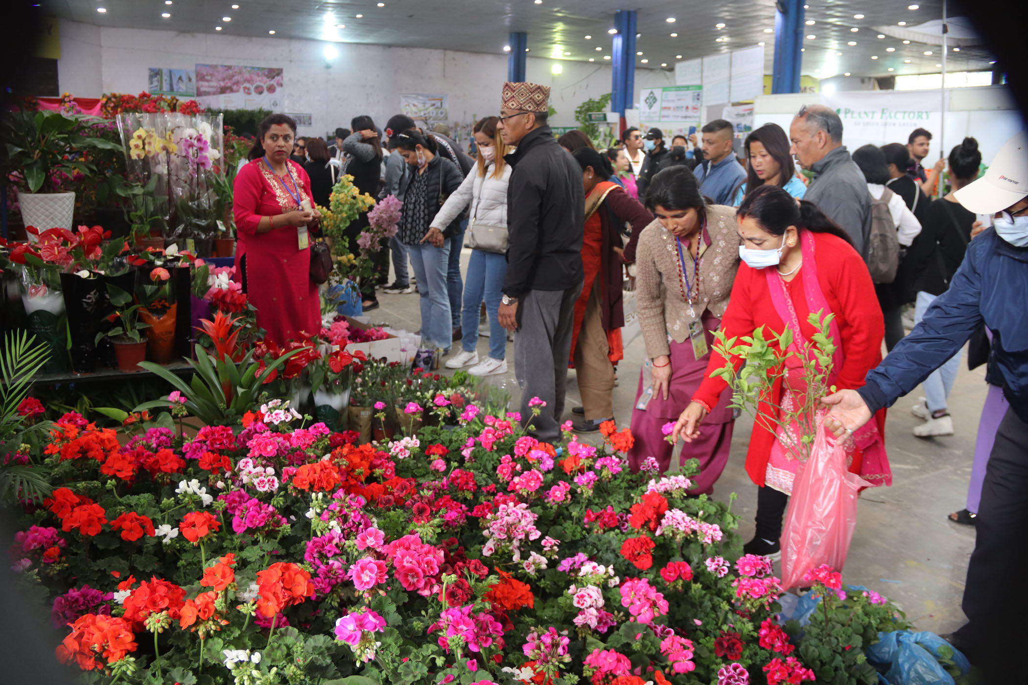 पुष्प मेला ३८ हजारले अवलोकन गरे, ८४ लाख कारोबार