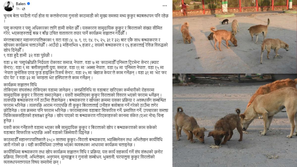 काठमाडौं महानगरले सुरु गर्यो कुकुर र बिरालोलाई बन्ध्याकरण र खोप लगाउने कार्यक्रम
