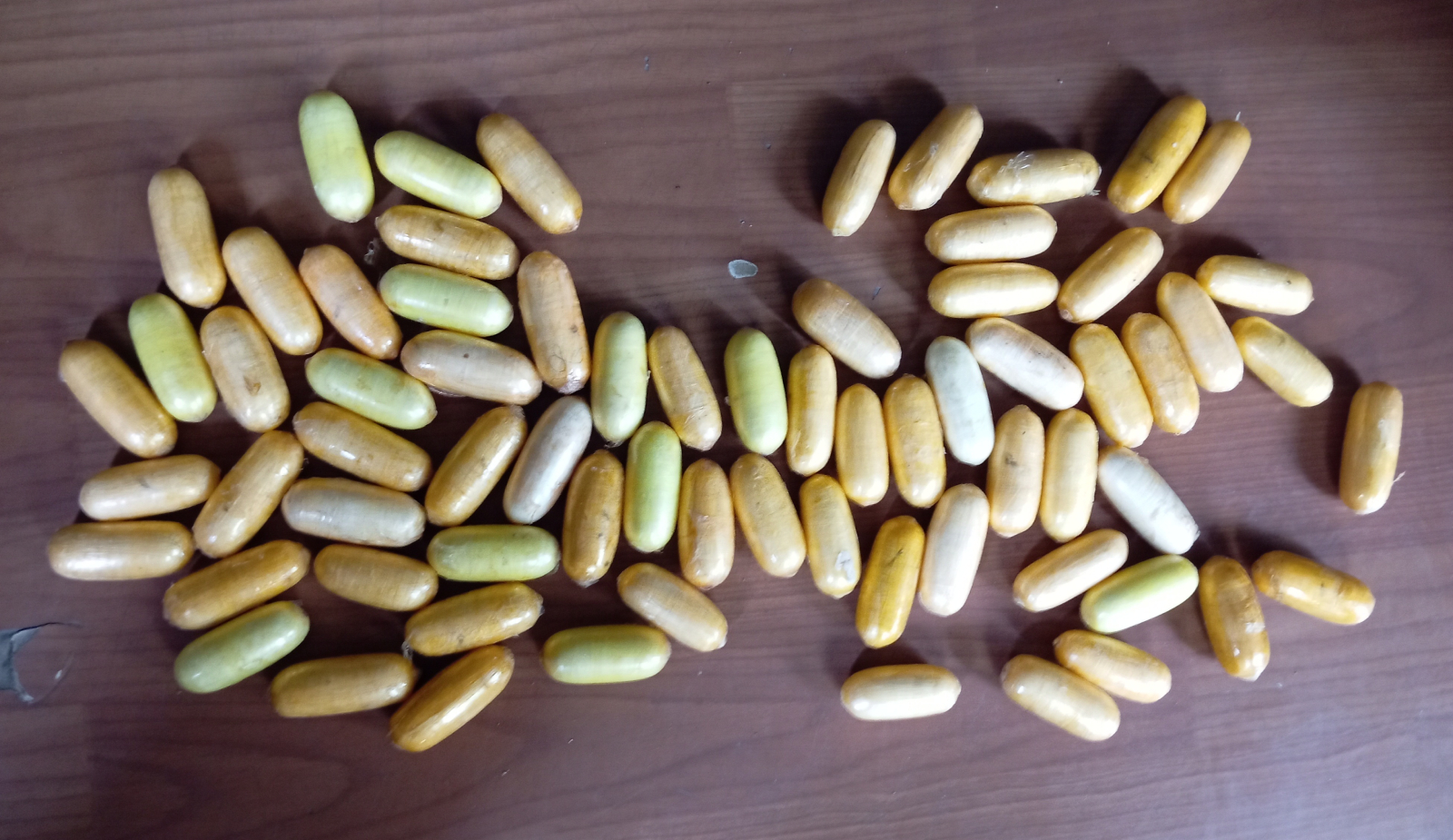 लागुऔषध कोकिनसहित दुई विदेशी पक्राउ