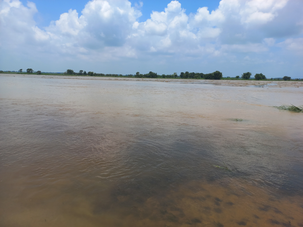 झापामा भारी वर्षा, तटीय क्षेत्रमा सतर्कता अपनाउन आग्रह 
