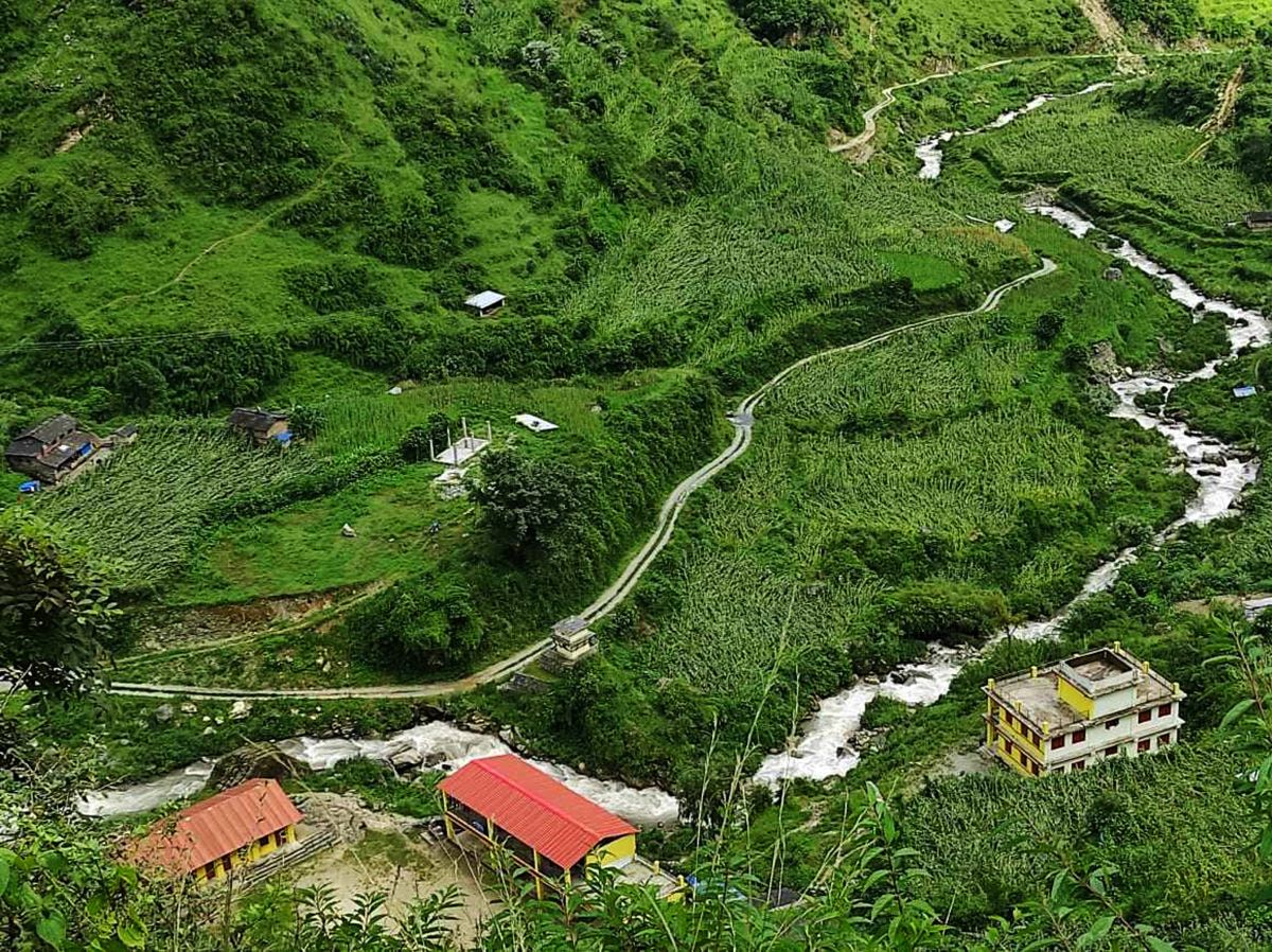 बाग्लुङमा हावाहुरीले मकै बालीमा क्षति पुर्यायो