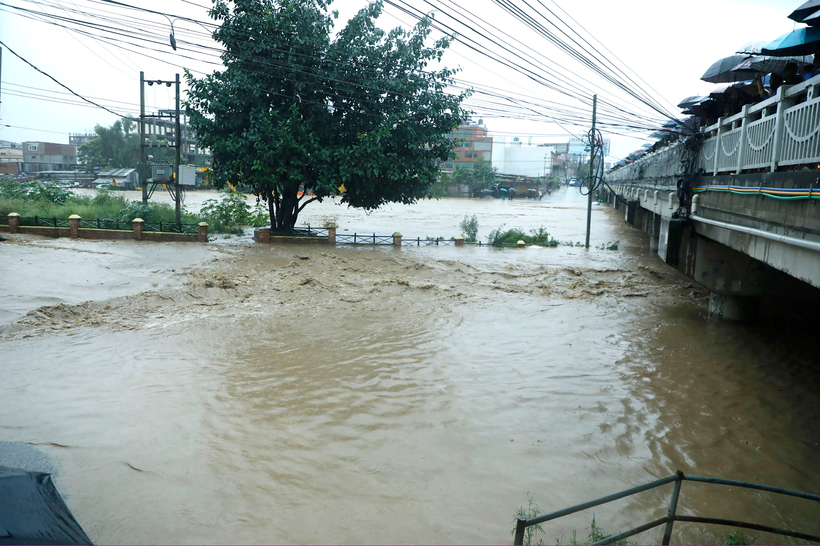 बाढीपहिरो र डुबानमा परी हालसम्म १९२ को मृत्यु, ३० जना बेपत्ता
