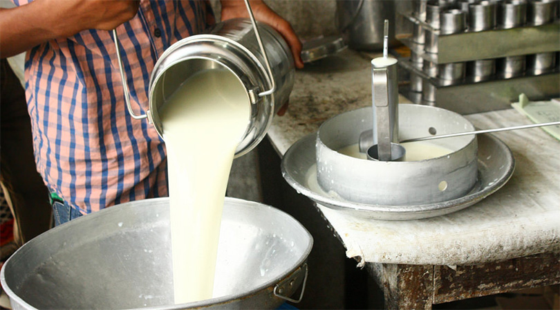 दूध बिक्री नभएपछि किसान चिन्तित