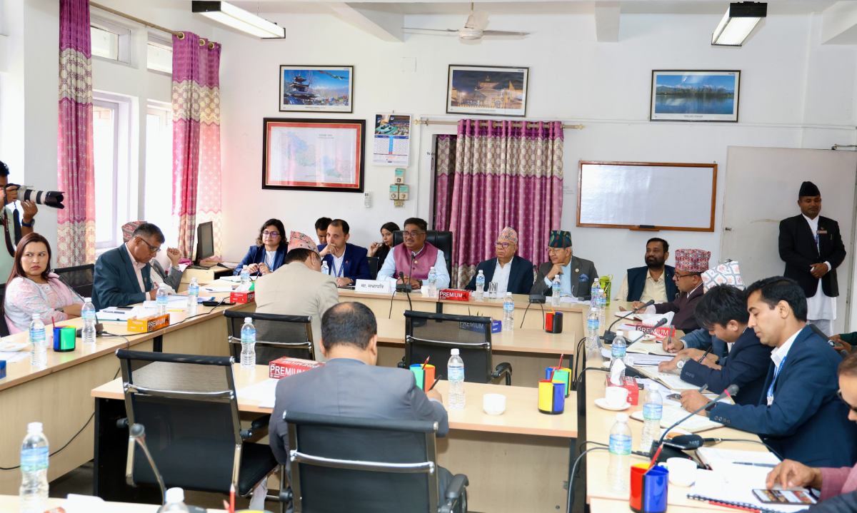 तारा गाउँविकास समितिको समस्या समाधानको कार्ययोजना पेस गर्न निर्देशन