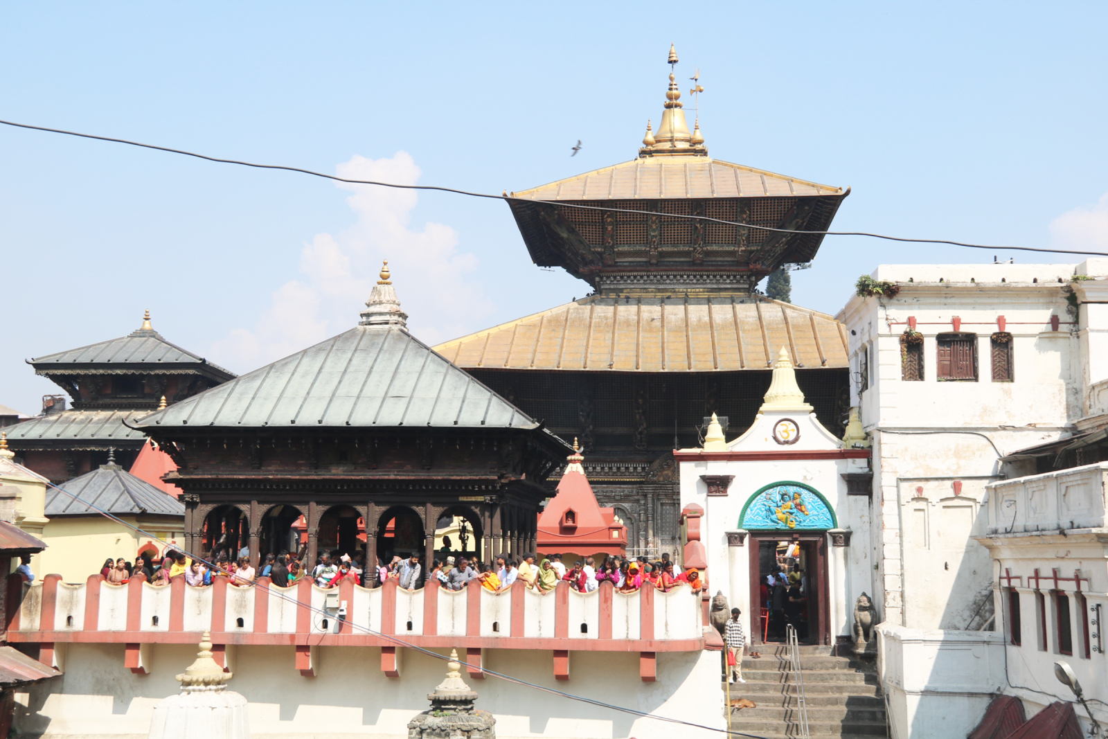 कोटिहोमका लागि पशुपति क्षेत्रमा तयारी तीव्र