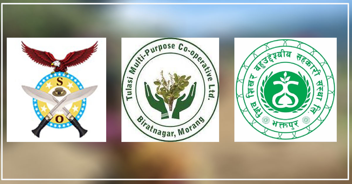 १४ अर्ब ठगी आरोपमा शिखर अर्गनाइजेशनका अध्यक्ष पक्राउ 