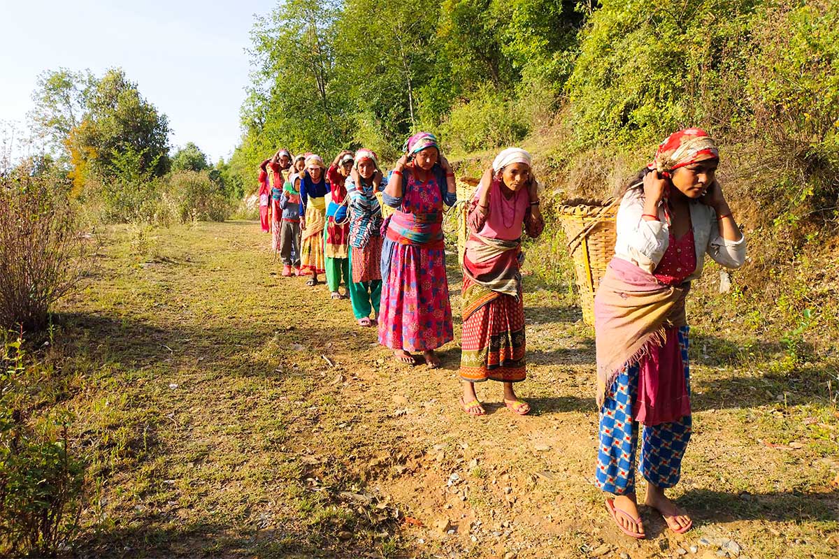 खानेपानीको दुःख
